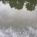 Tour Fluvial - Agencia de Viajes Peuco Expediciones Carahue