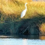 Agencia de Viajes Peuco Expediciones Carahue